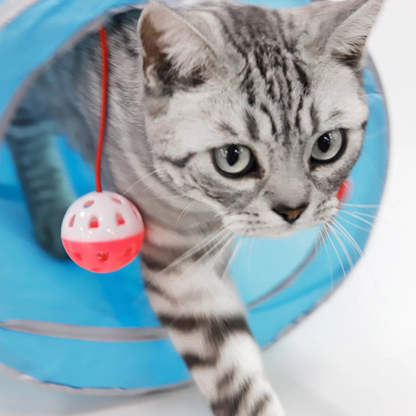 12-Piece Interactive Cat Toy Set – Feather Wands & Tunnel Fun (2-Pack, Multicolor)