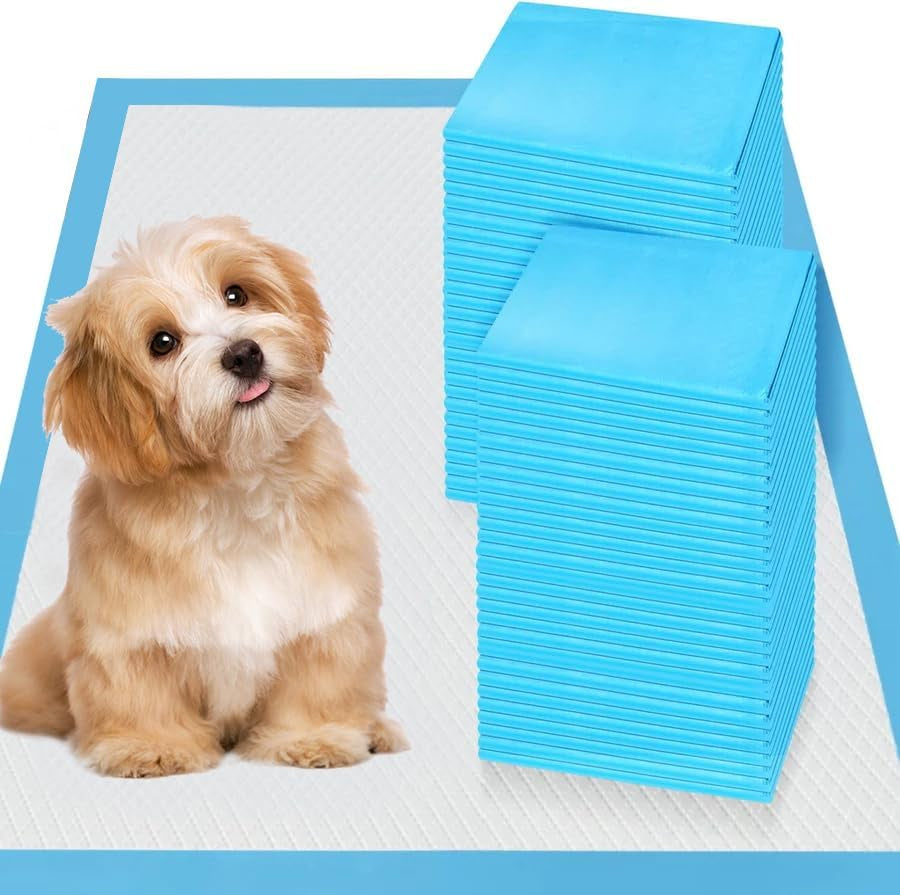Goofypet 22" X 22" Premium Disposable Training Pee Pads