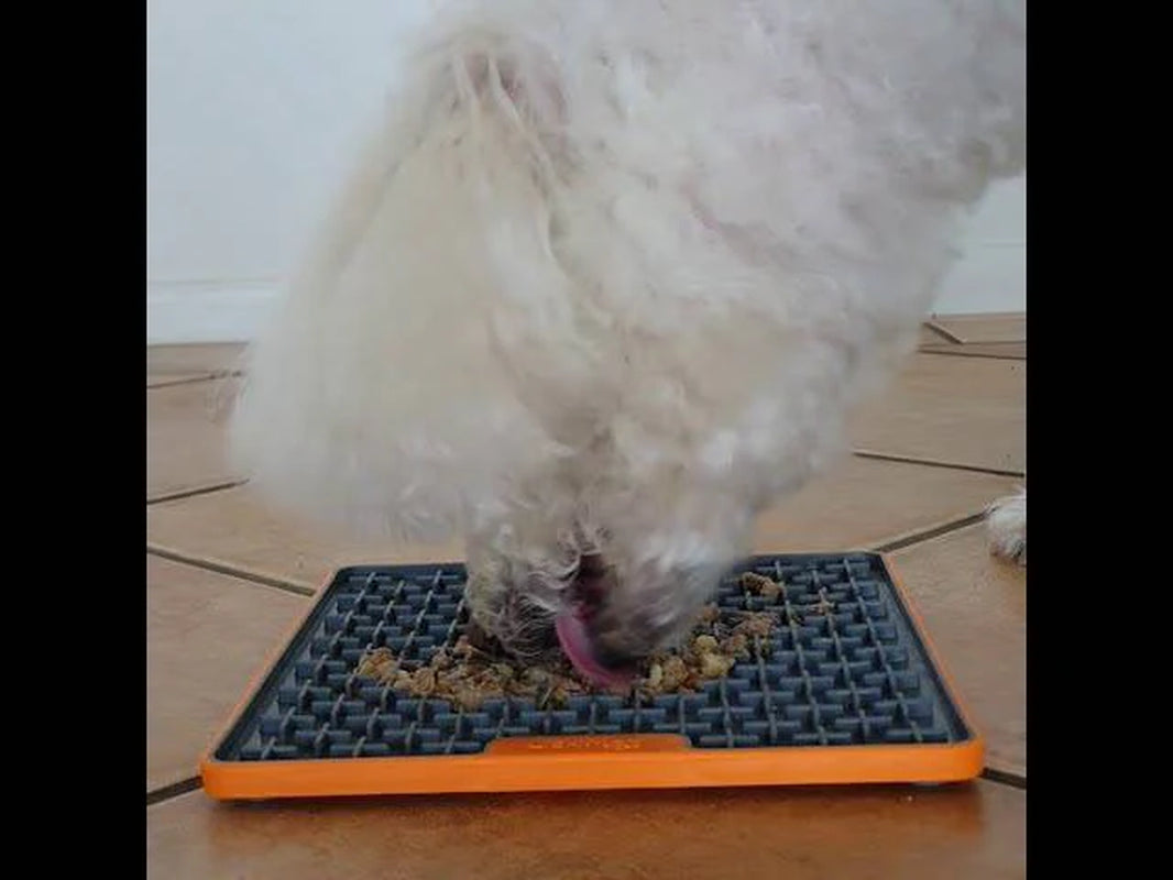 Lickimat Buddy Deluxe Treat Mat for Dogs & Cats