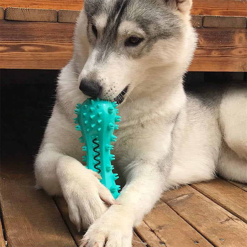 Dog Tooth Cleaning Toy – Interactive Dental Care for Small & Medium Dogs