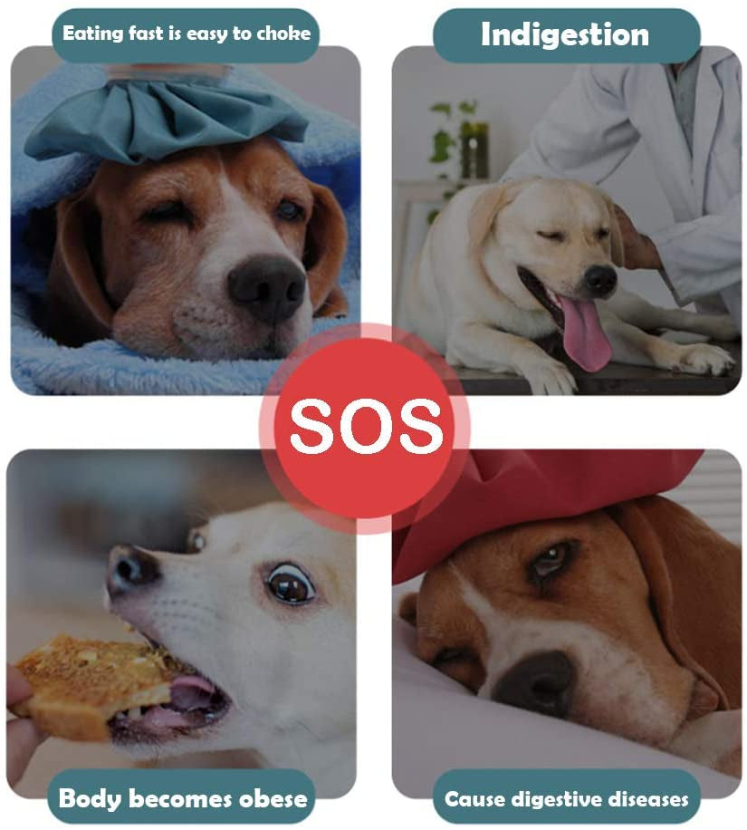 Slow Feeder Dog Bowl – Anti-Gulping, Non-Slip Design for Healthy Eating