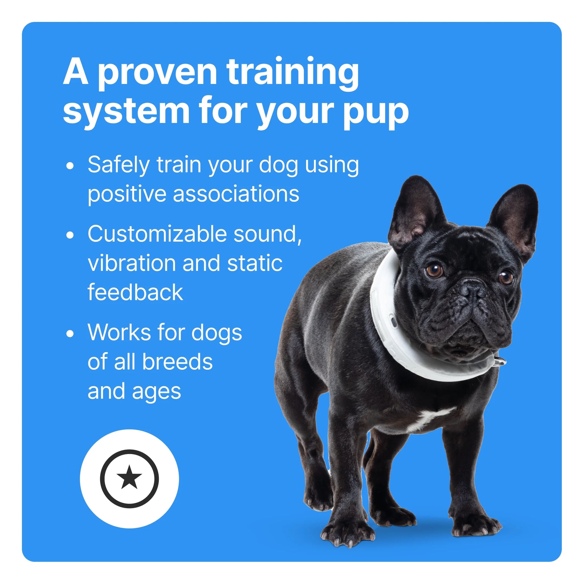 3 - Wireless GPS Dog Fence & Training Collar with Real-Time Tracking