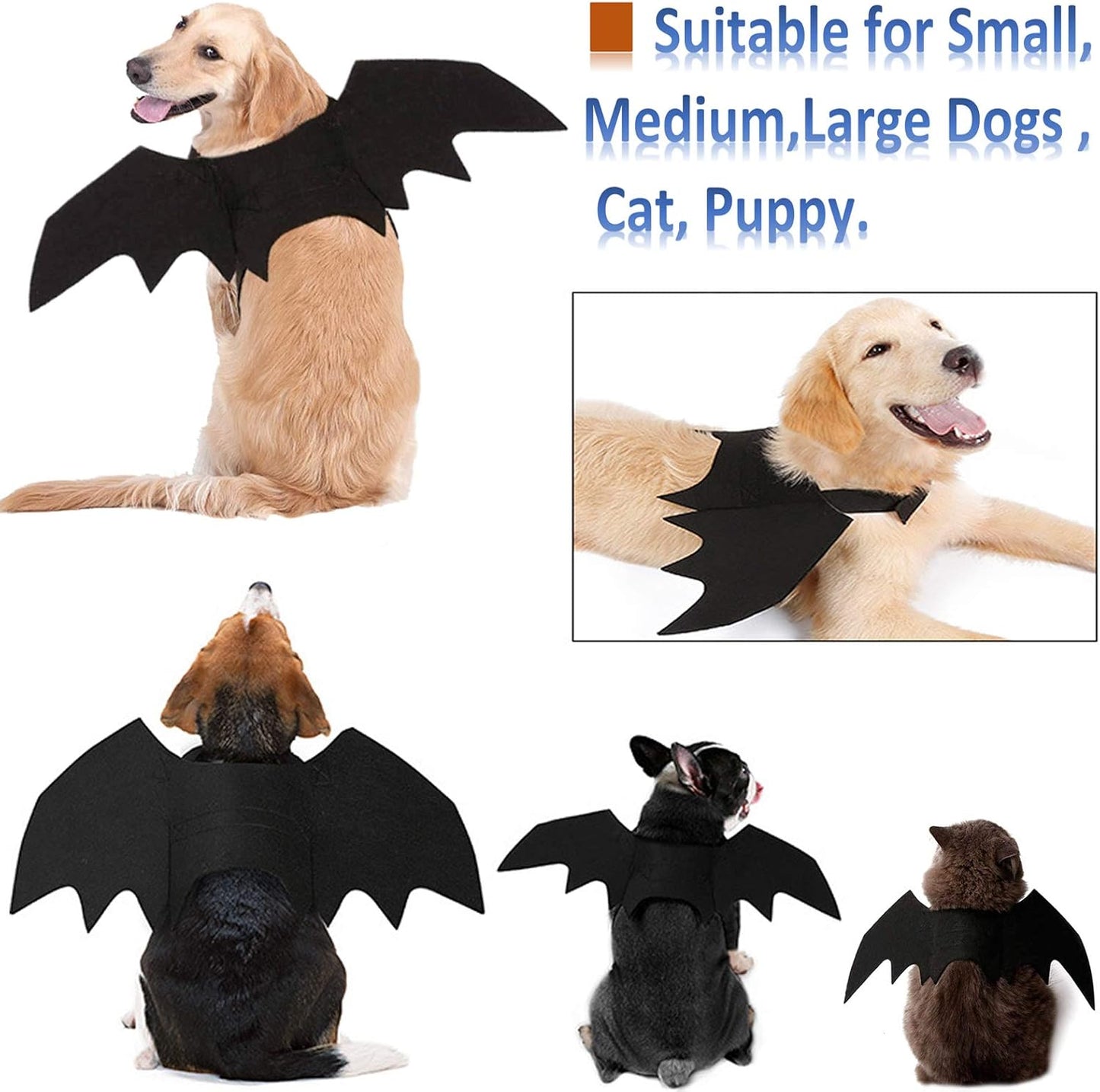 Halloween Pet Bat Wings – Funny Cosplay Costume for Small, Medium & Large Dogs & Cats (Size L)