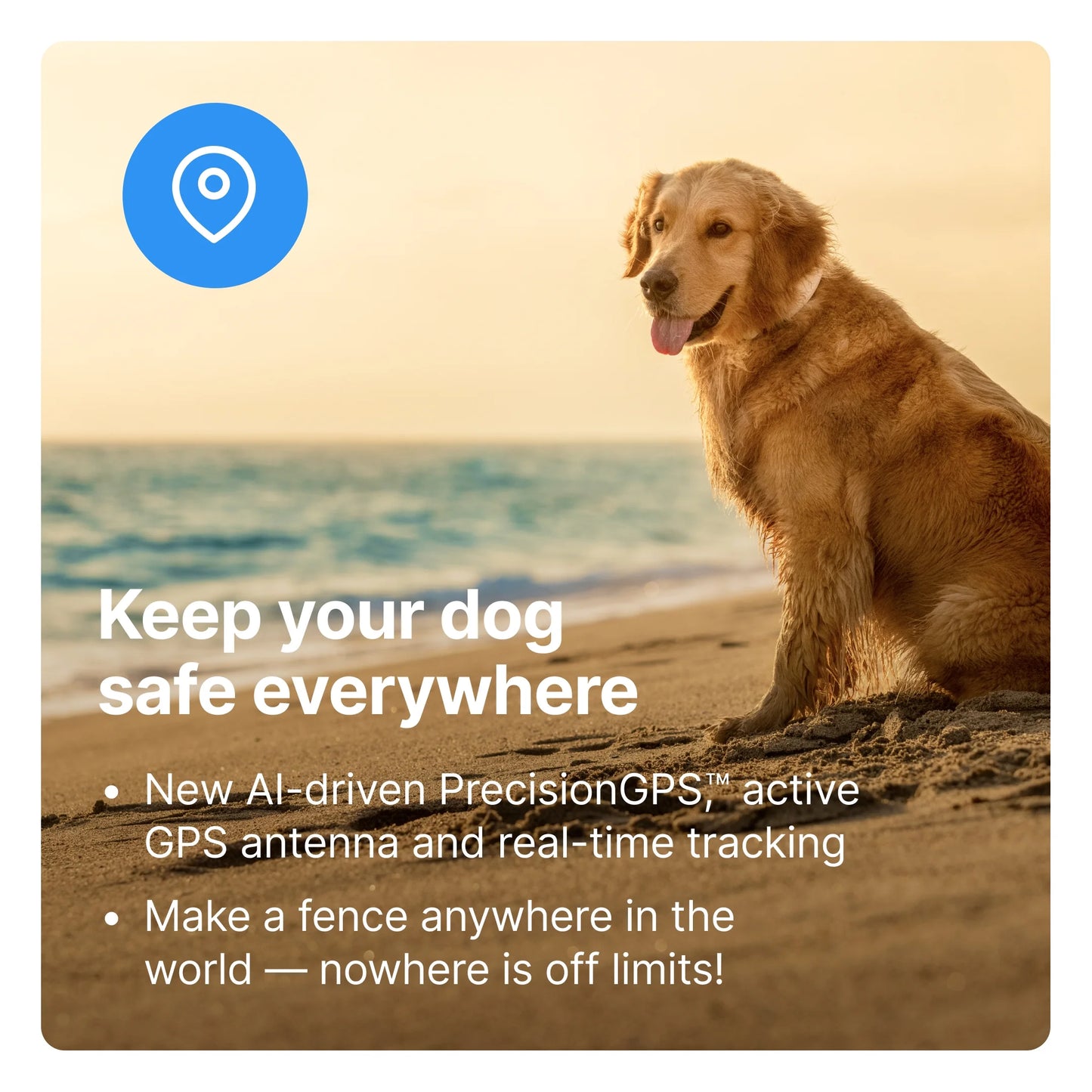 3 - Wireless GPS Dog Fence & Training Collar with Real-Time Tracking