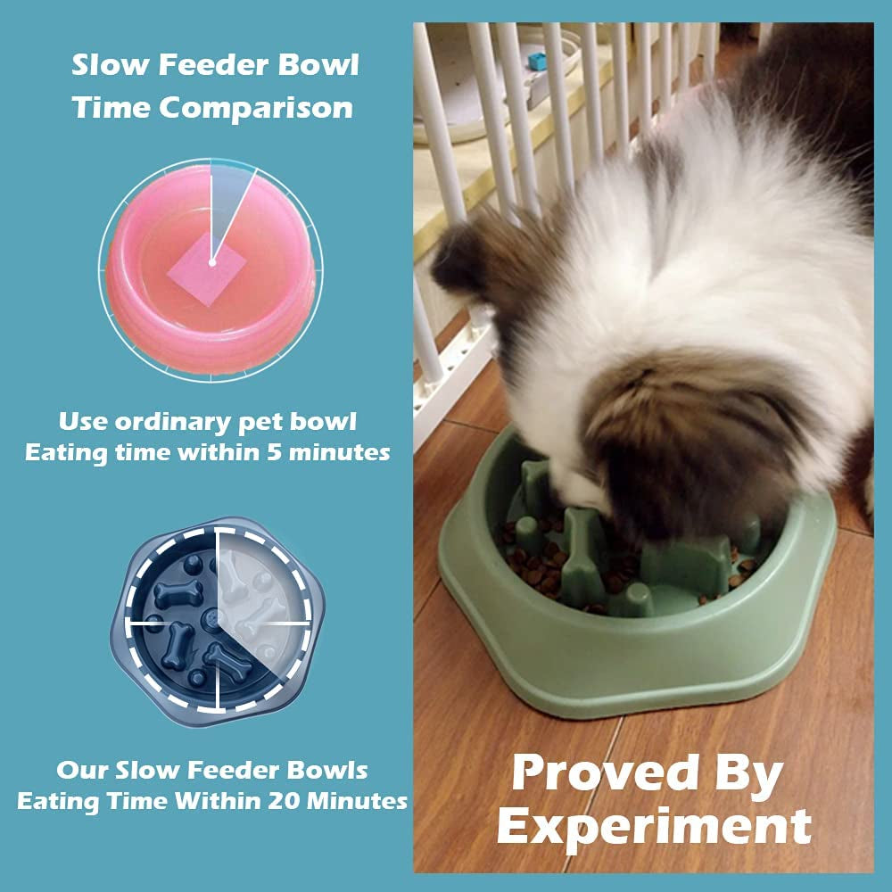 Slow Feeder Dog Bowl – Anti-Gulping, Non-Slip Design for Healthy Eating