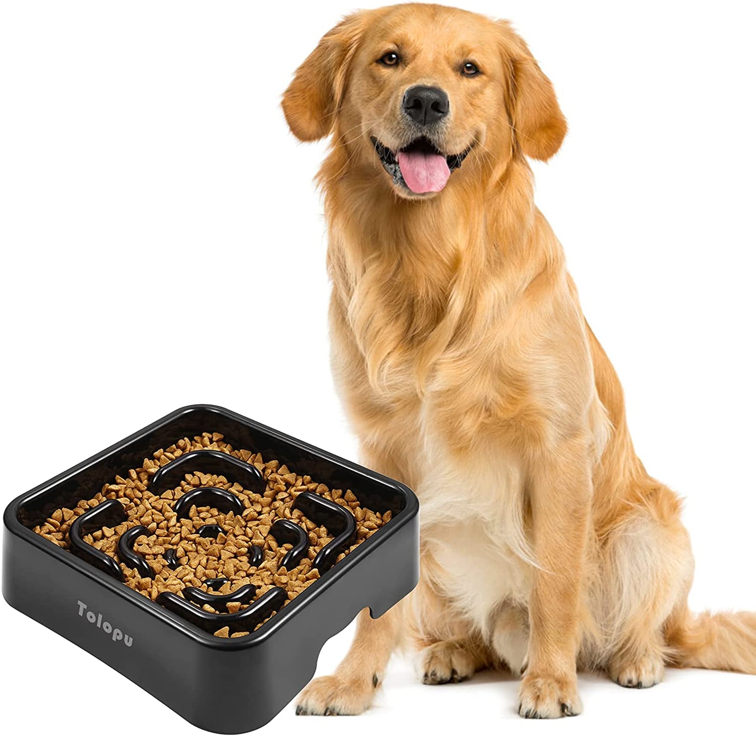 XL Slow Feeder Dog Bowl – 10-Cup Anti-Gulping & Anti-Choking Design (Black)